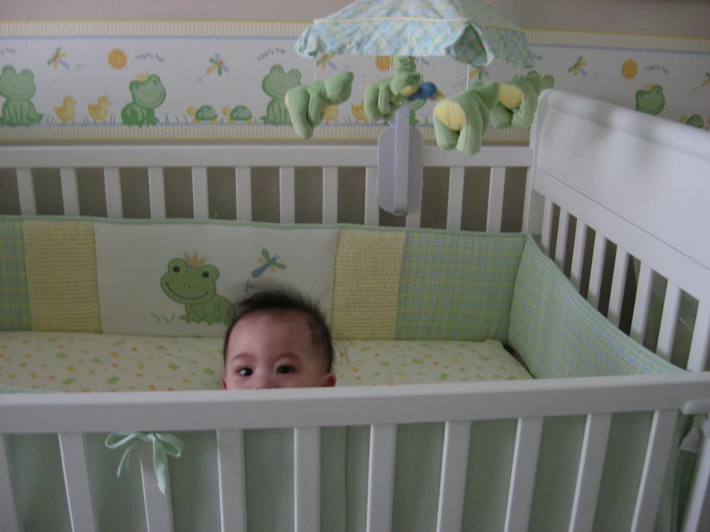 7 tháng tuổi con lò được hai con mắt dòm ra ngoài