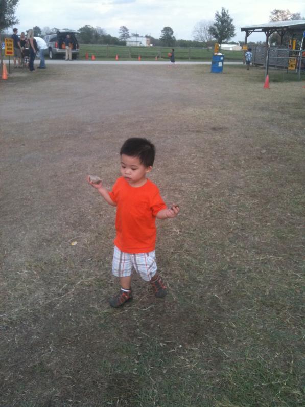 I like rock, con nói. Thế là con về với hai cục đá lựa rất kỹ ở đưới đất.