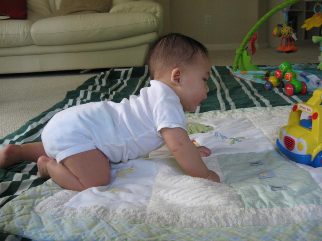 ...và bò lung tung tiếp...