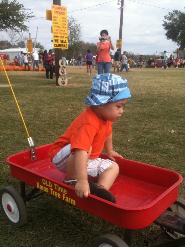 Mới đầu con ngoan ngoãn ngồi trên xe cho Ba kéo đi...