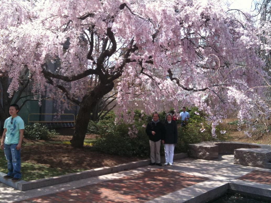 Hoa này không biết là hoa gì nhưng đẹp nhất.