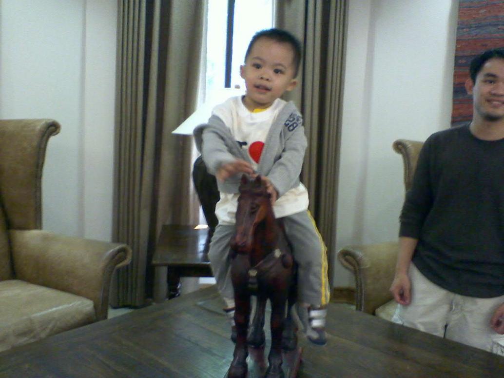 Ngựa này nhỏ mà coi bộ cũng chắc chắn.