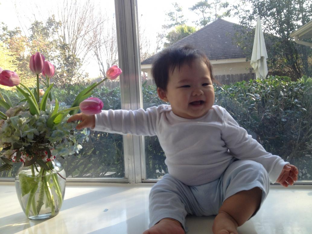 Chụp hình mùa xuân