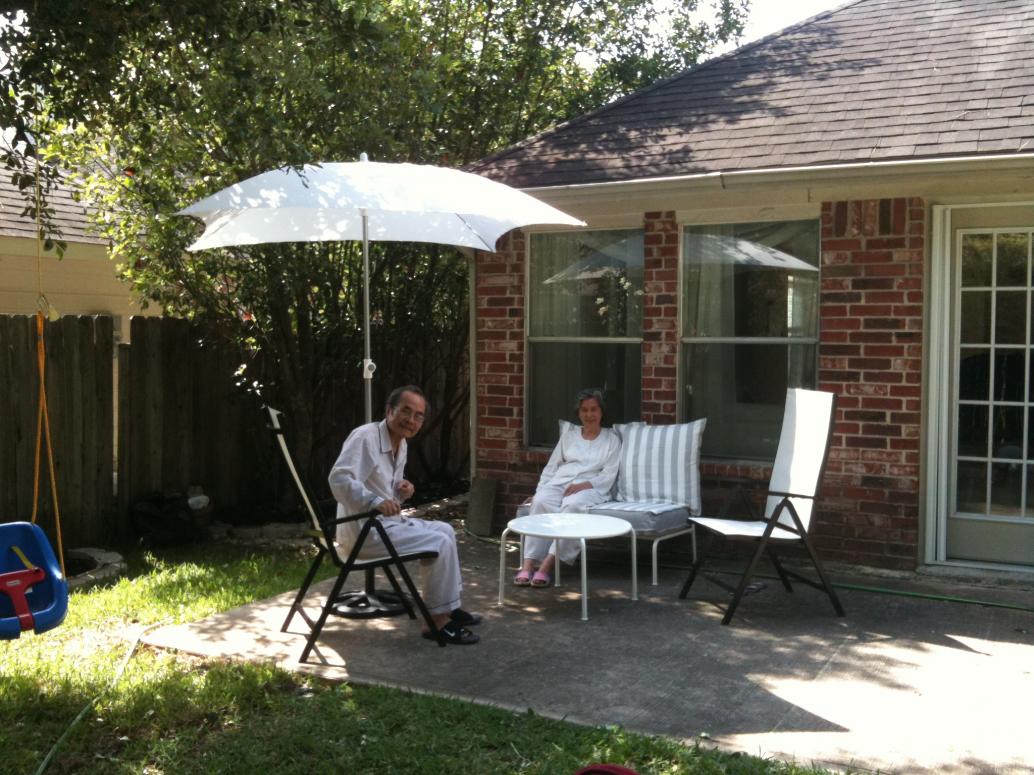 Ngoại ra vườn dòm cây lá..