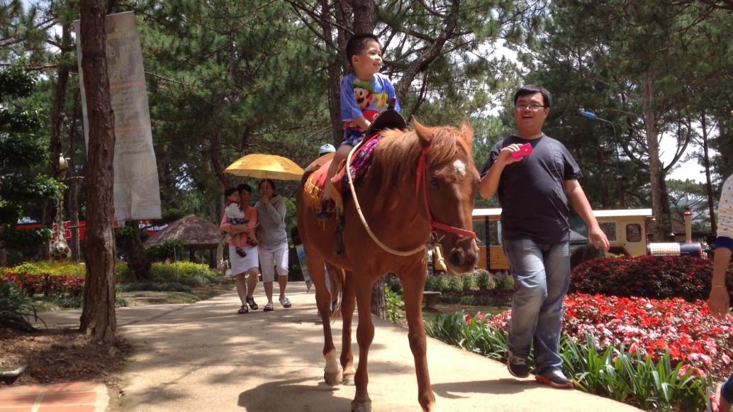 Con ngựa này không chở anh Chu nổi nữa rồi.