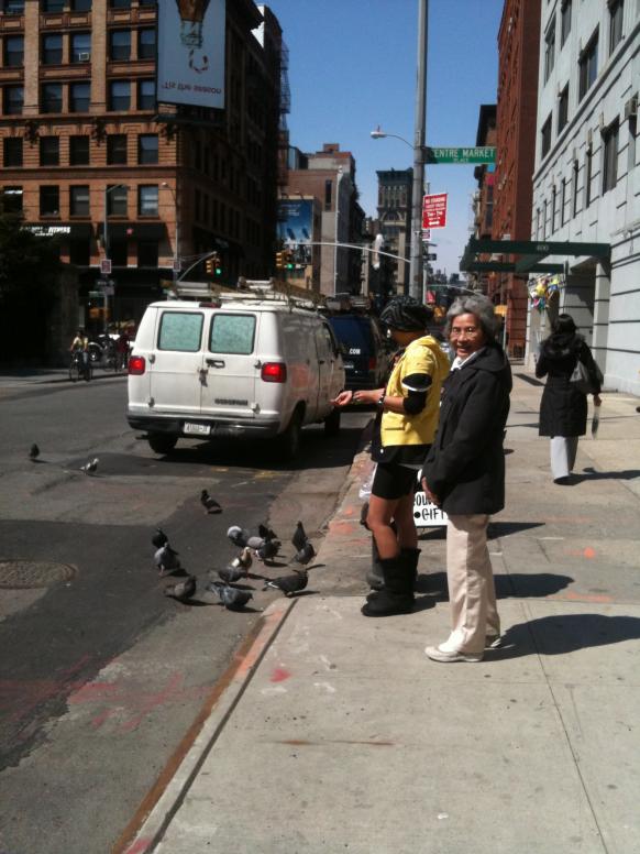 Bà Ngoại thì thị́ch nhìn người ta cho bồ câu ăn ngoài đường phố