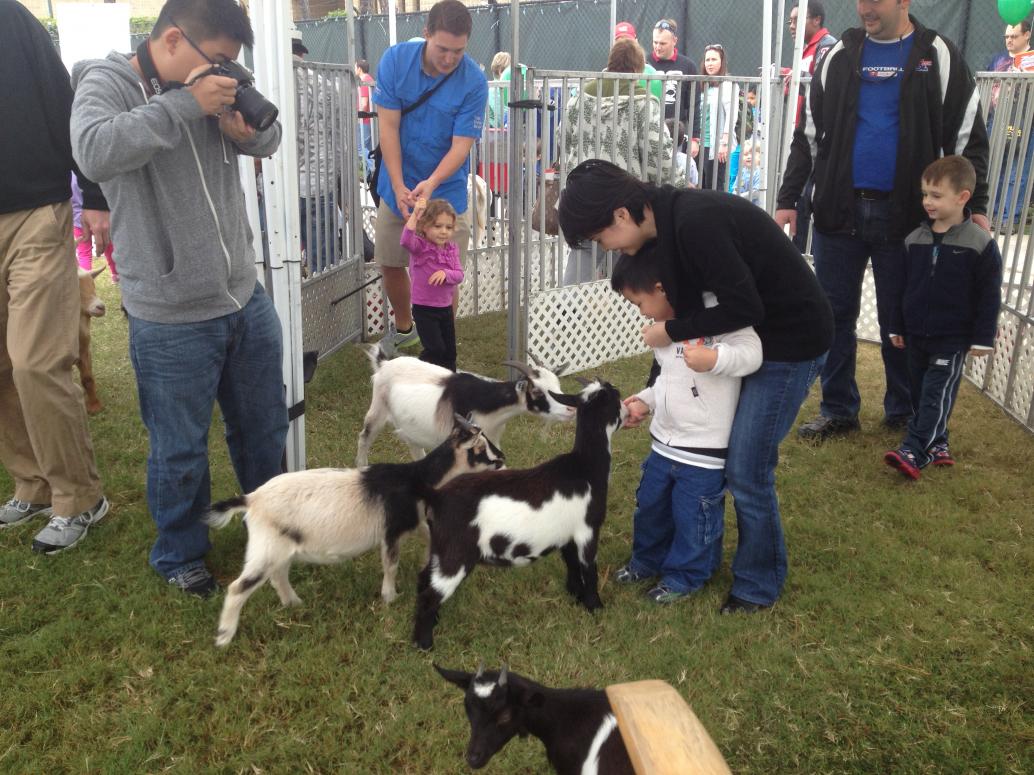 Giờ thì cho ăn được rồi.  Có cả gà, vịt, cừu, heo...