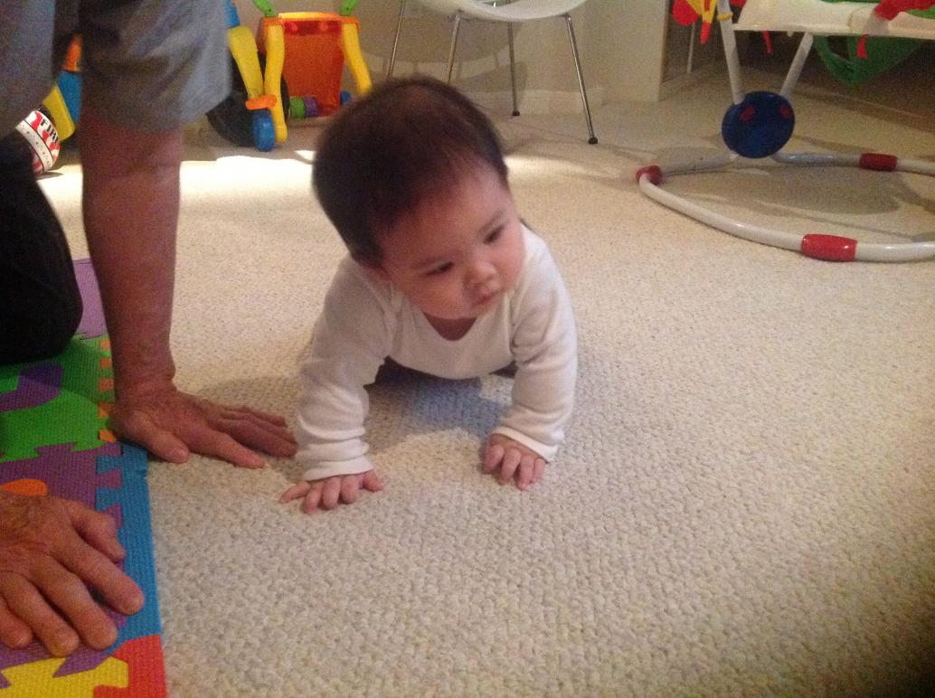 4 ngày sau khi biết ngồi, em biết bò, ngày 1/9/2013.