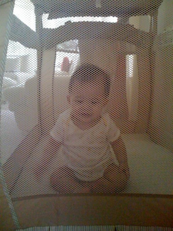 ...rồi bị Ba bỏ vô chuồng nhốt lại