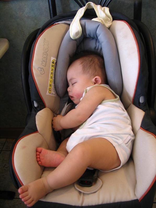 Trên đường về nhà ngủ ngon lành