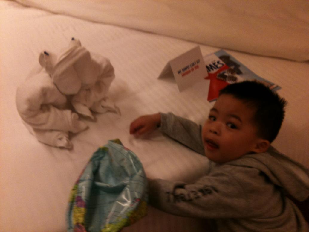 Tối nào mình đi ăn về cũng được chú dọn phòng làm cho một con thú bằng khăn lông.  Bữa nay là con cóc.