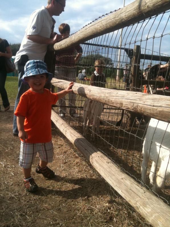 Có chuồng dê nữa Ba ơi!