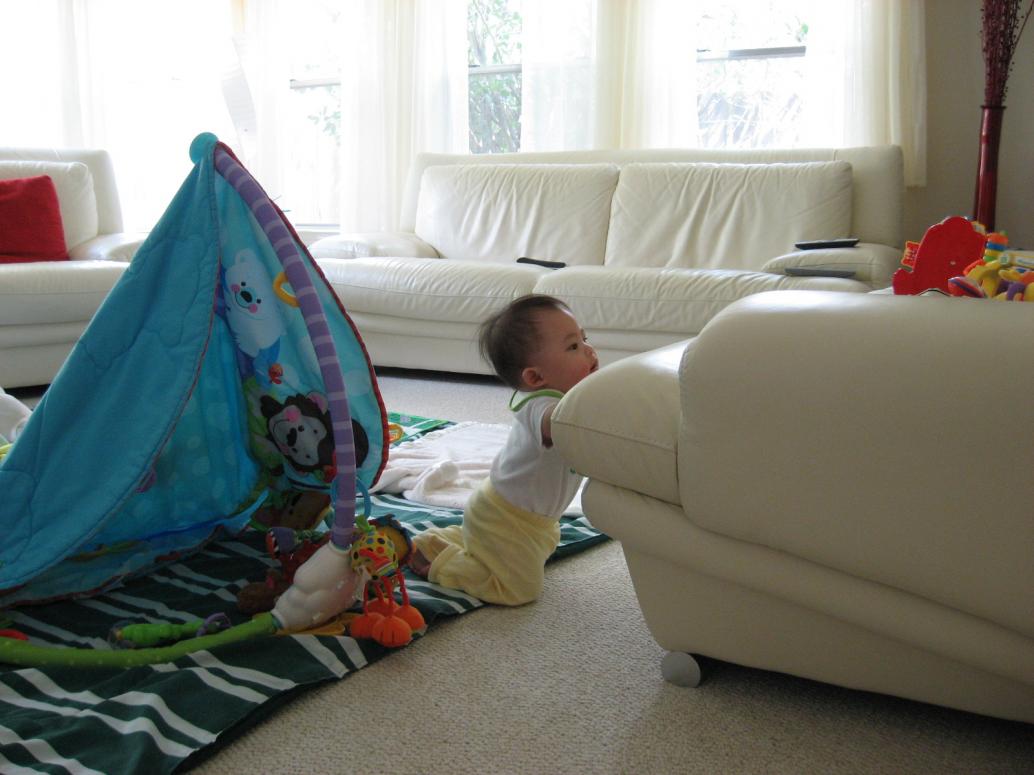 Chơi chán thì chui ra...