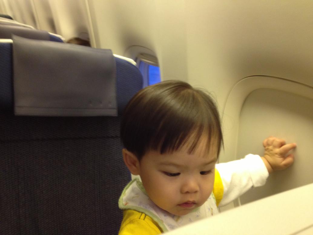 Em 16 tháng, nặng 11.7kg (25.9lbs)