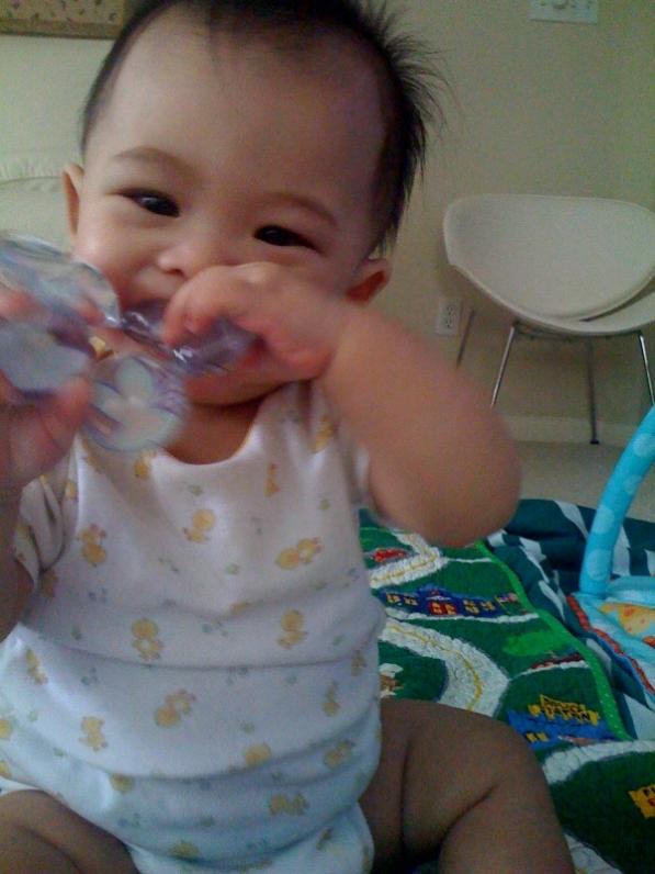 ...nhưng vẩn không quên gặm đồ chơi