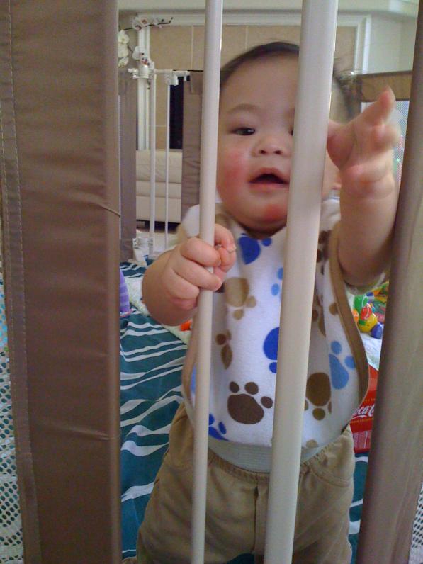 Khi nào đói hoặc buồn ngù thì vịn cửa đứng lên đòi ra