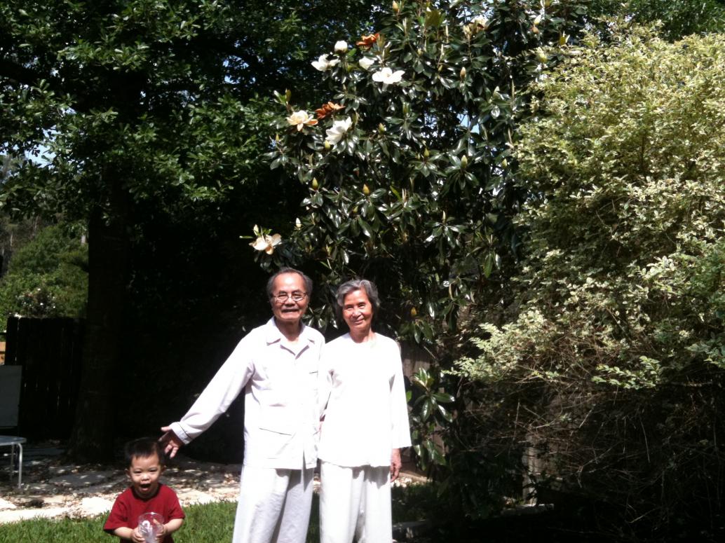 Được vài cái hoa mộc lan, đang chụp thì con nhào vô. Đây là nụ cười đặc trưng lúc mắc cỡ của con.