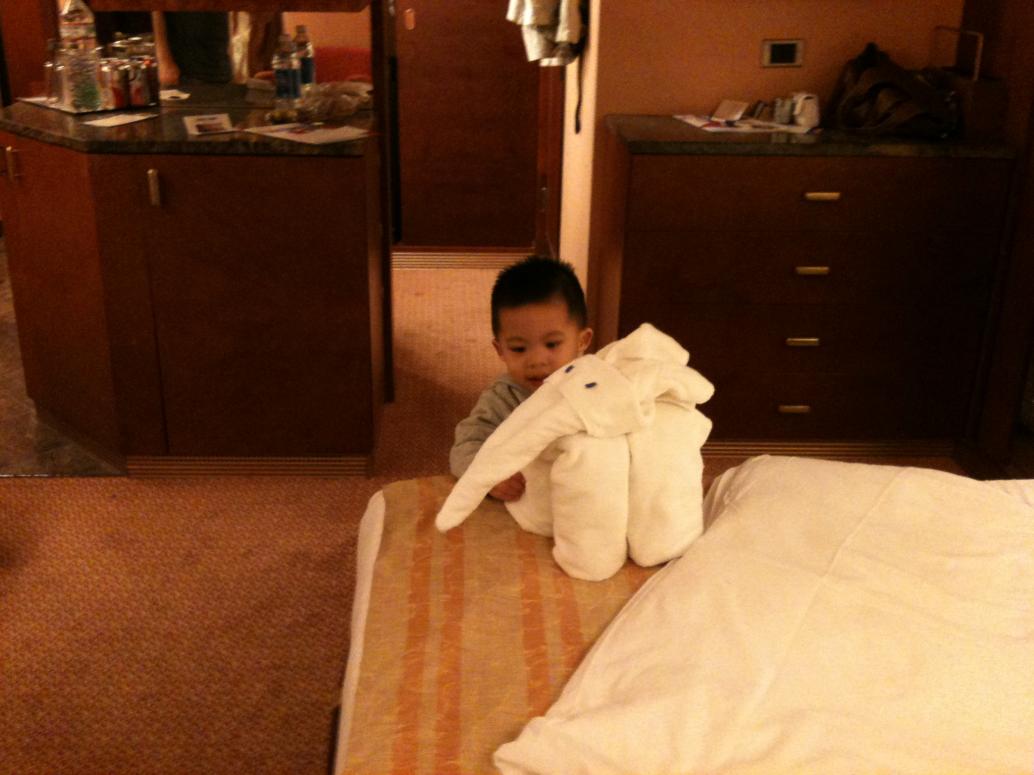 Bữa nay là con voi.  Ba phải chụp hình lẹ lẹ trước khi con nhào vô.