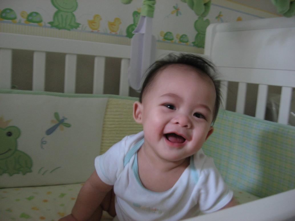 ...bò qua bò lại