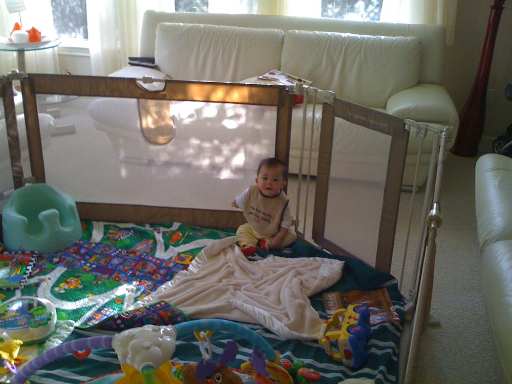 Bò tùm lum quá nên Ba mua hàng rào nhốt lại