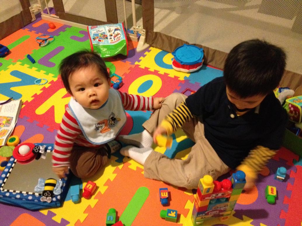 Đi theo anh Cúc Cu coi có giựt được gì không