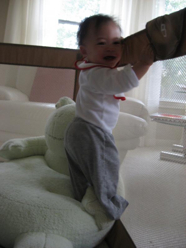 Con thì thích ếch vì nó như cái gối bông