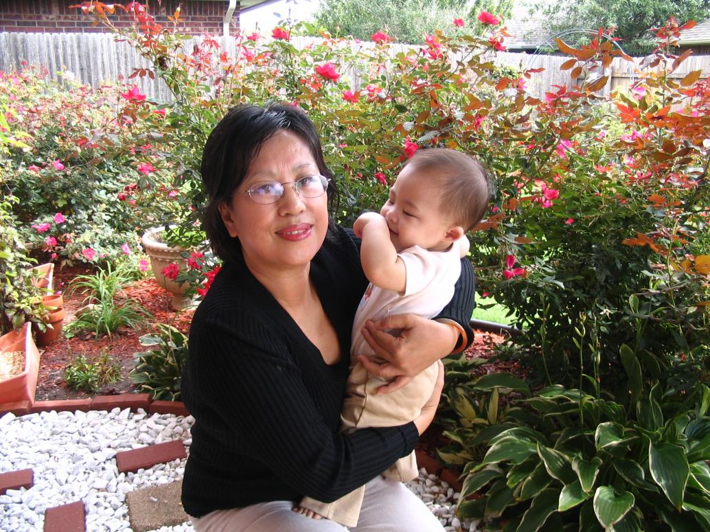 Nội sao không trồng cây dừa cho con sau này leo cho sướng?