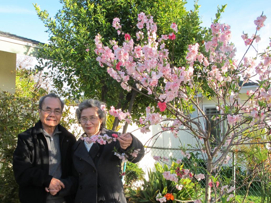 Nhà này có cây trái bông hoa đẹp quá.