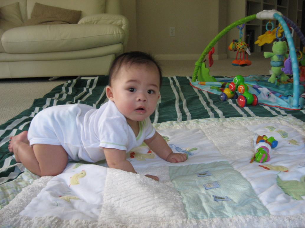 Ngày 8/28 con biết bò luôn.