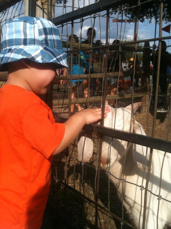 Con dê này ngoan quá, cho con vuốt hoài thôi.