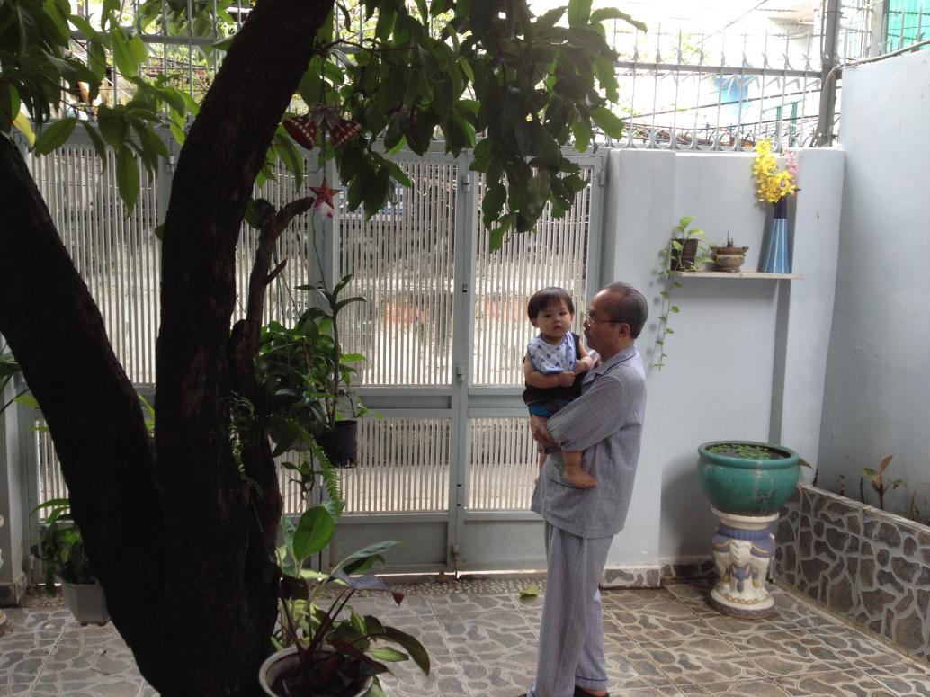 Cây mận này hồi xưa Mẹ trèo hoài.  Cúc Cu hỏi nhà này có phải hồi nhỏ Mẹ ở không.