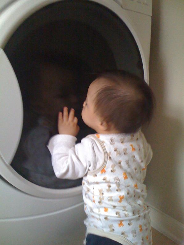 Con thích đứng dòm vô máy sấy coi quần áo quay quay