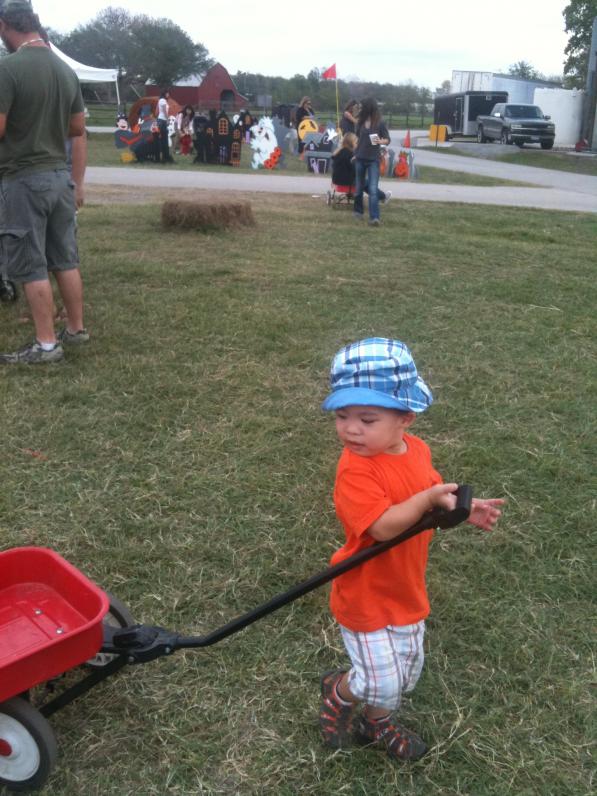 Sau rồi con tự kéo xe luôn.