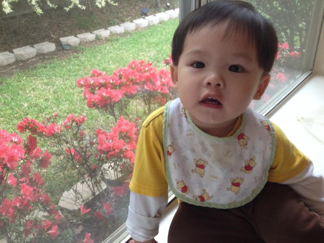 Mùa xuân tới rồi, hết lạnh rồi.