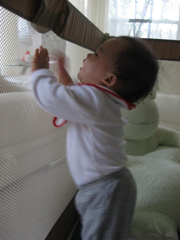 Có cái chuồng này Ba Mẹ đỡ lắm, không thì theo con mệt nghỉ