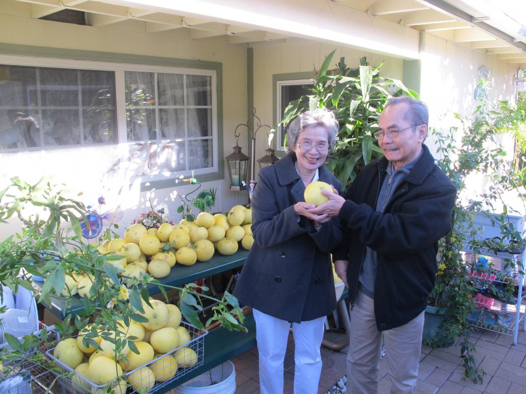 Ngoại tới nhà thăm Bà Sáu, em Bà Út bạn Ngoại.