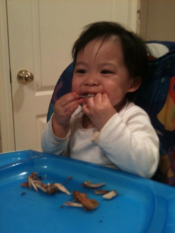 Ngày 3/11/2011 Cúc Cu 2 tuổi 2 tháng ăn cánh gà ngon lành.