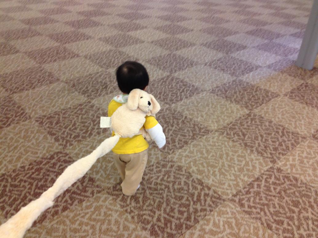 Cúc Ky thì bị cột để khỏi chạy lung tung.