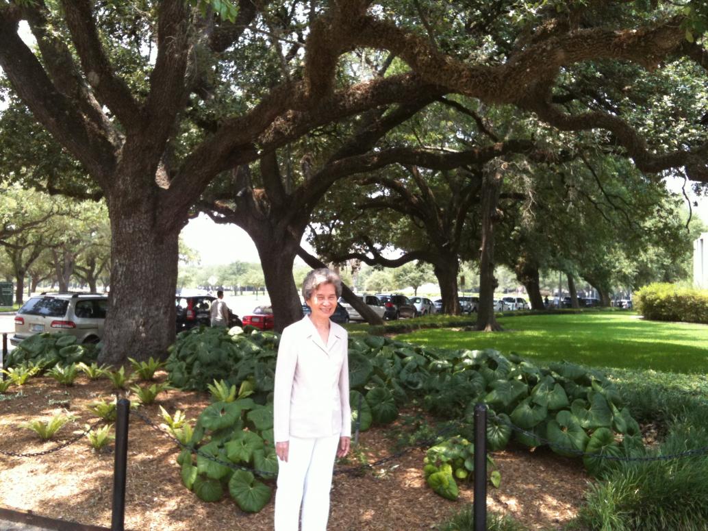 Bữa đi chơi viện bảo tàng kết thúc bằng coi mấy cây cối trước bảo tàng.