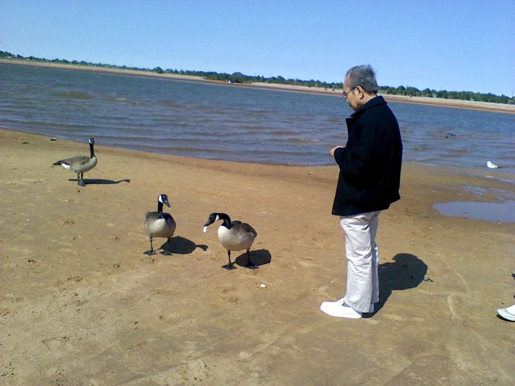 Sau đó cả nhà ra hồ Hefner cho vịt trời ăn bánh mì.