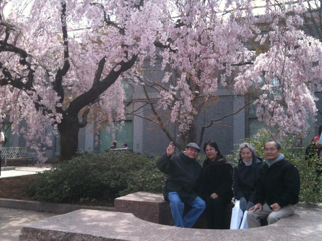 Cái này đẹp nhất.