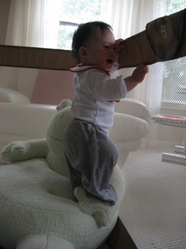 ...bây giờ con leo lên mình con ếch đứng.