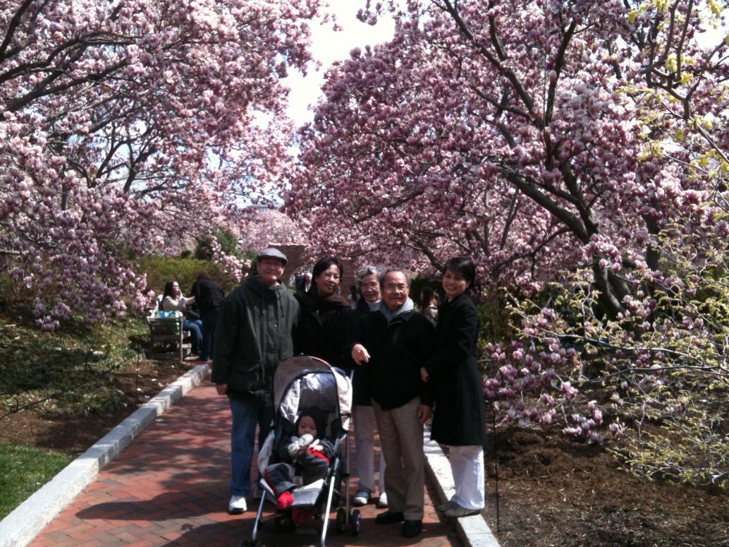 Mộc lan khắp mọi nơi.