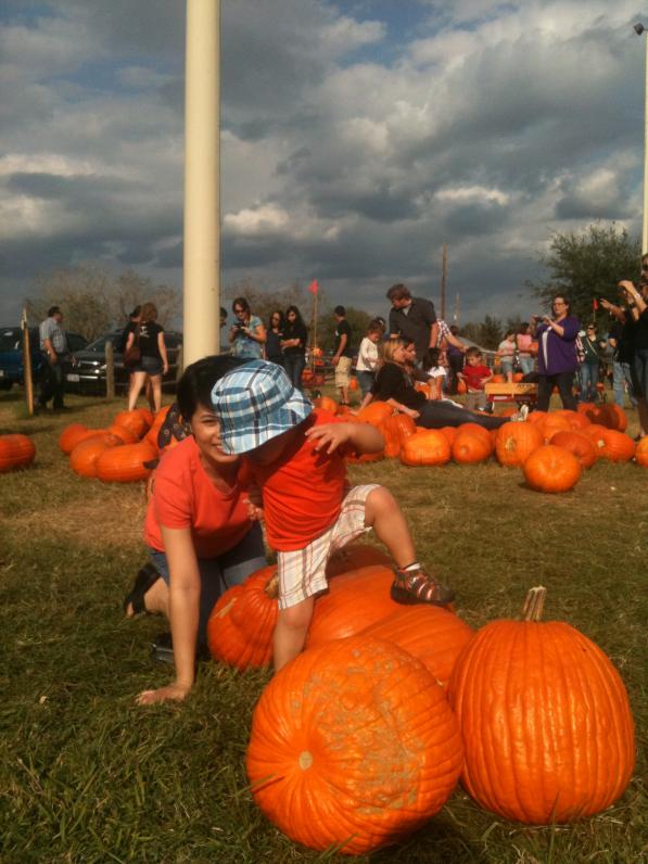 Leo thử lên coi sao...