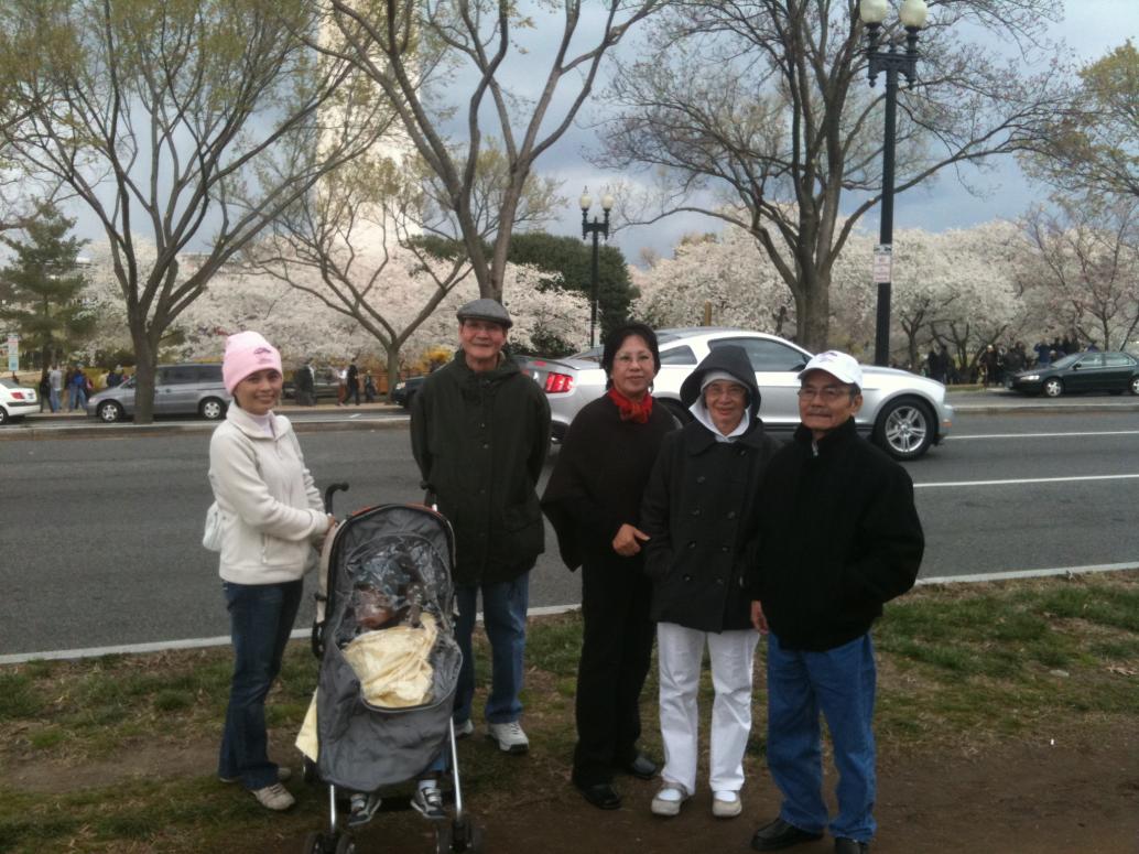 Vừa kịp thấy hoa anh đào trắng muốt hai bờ Potomac là trời đổ mưa.