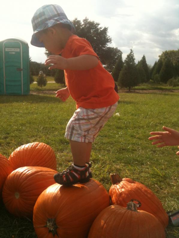 ...gần đứng được rồi...