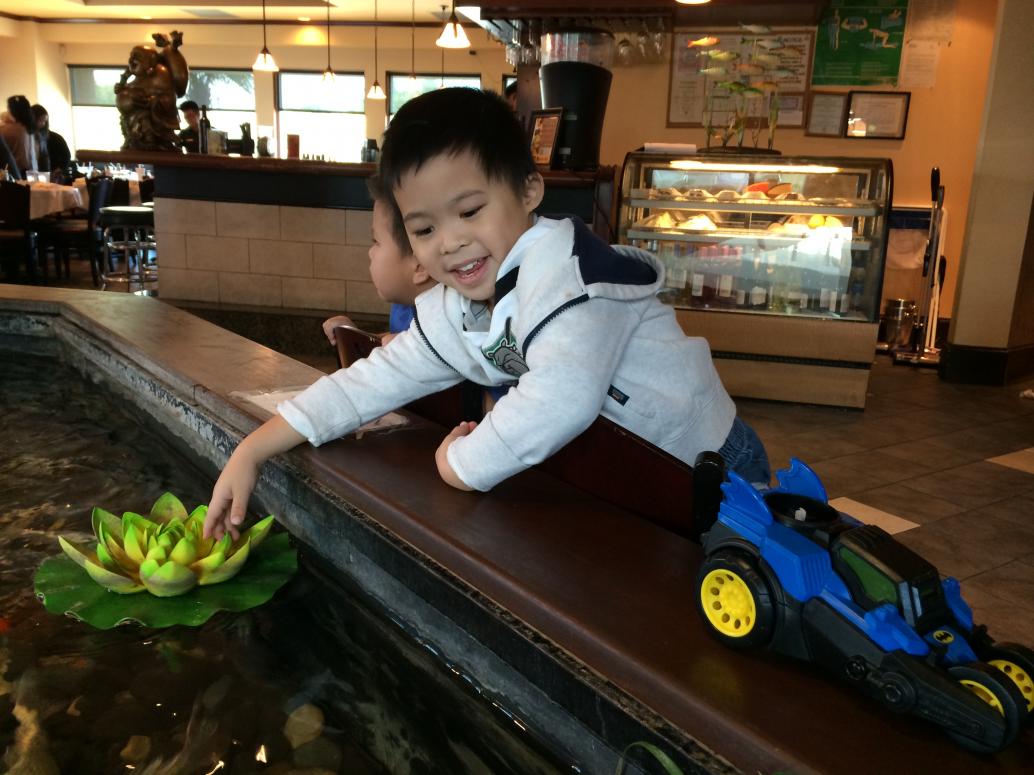 Ăn xong lại chạy chơi, chỗ này có hồ cá.