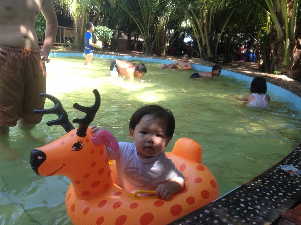 Mua con hươu này cho Cúc Ky ngồi chơi.