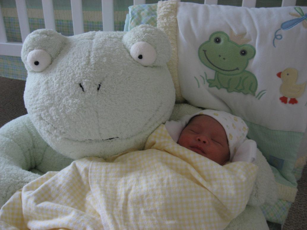 Hồi đó con ngủ trong lòng con ếch...