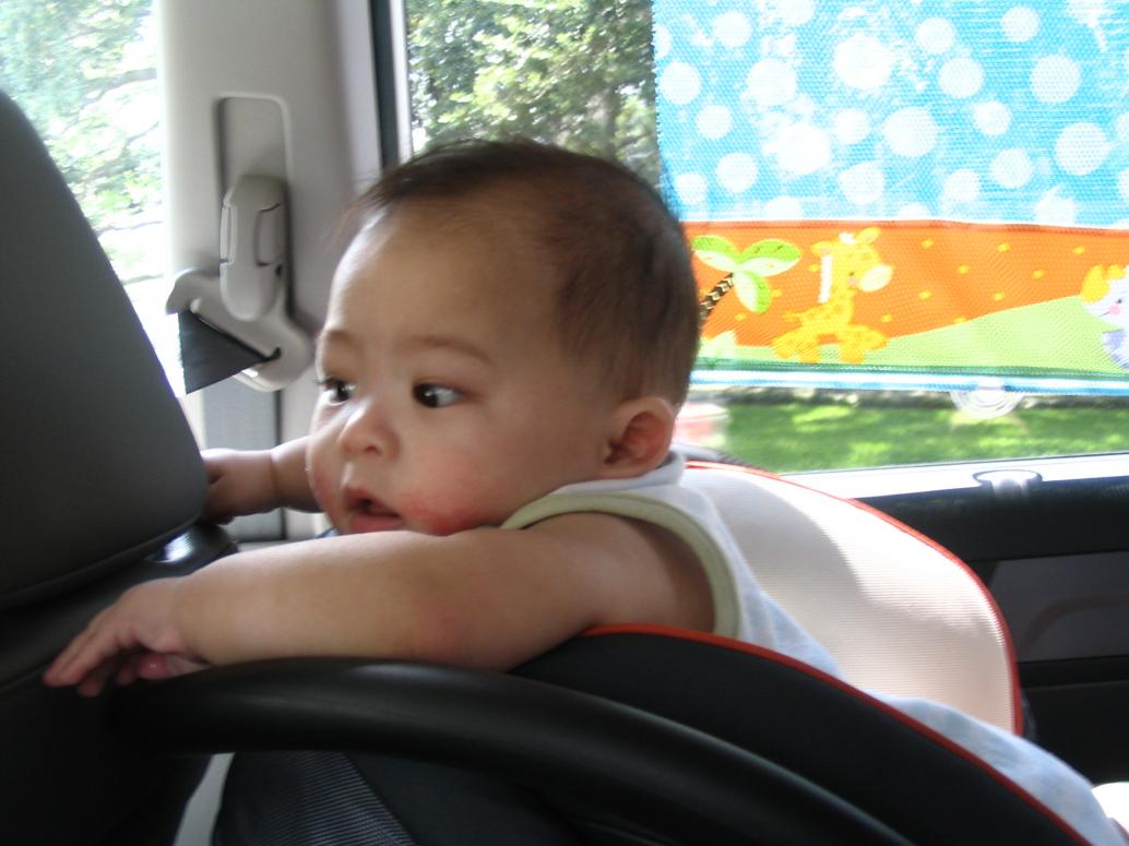 Vô xe đi về mà vẫn còn luyến tiếc